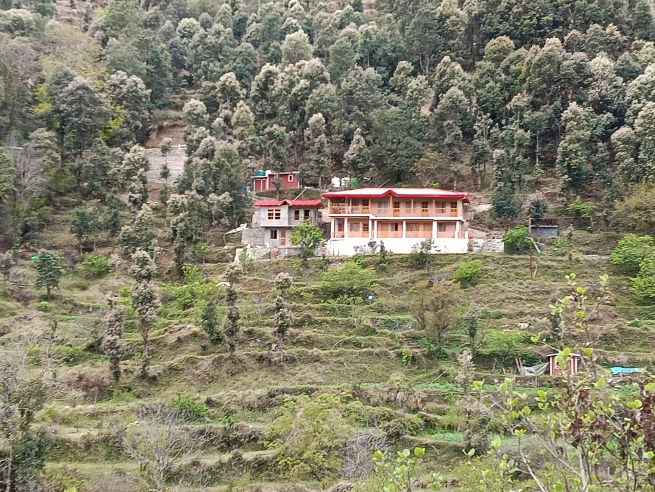 Peach Hillside Resort